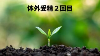 不妊治療-体外受精 2回目の挑戦